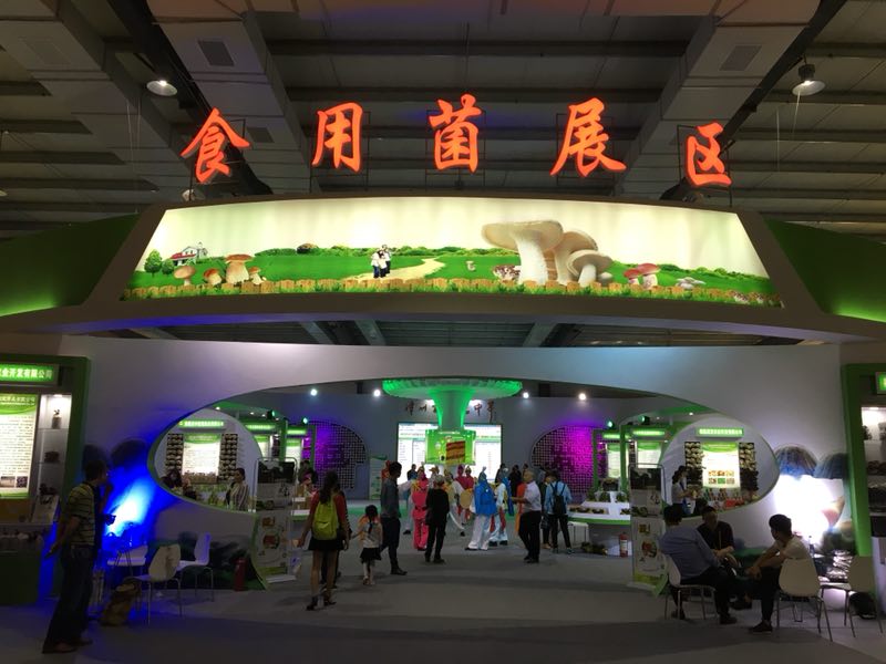 麻将胡了2(中国)官方网站-IOS/安卓通用版/手机APP下载